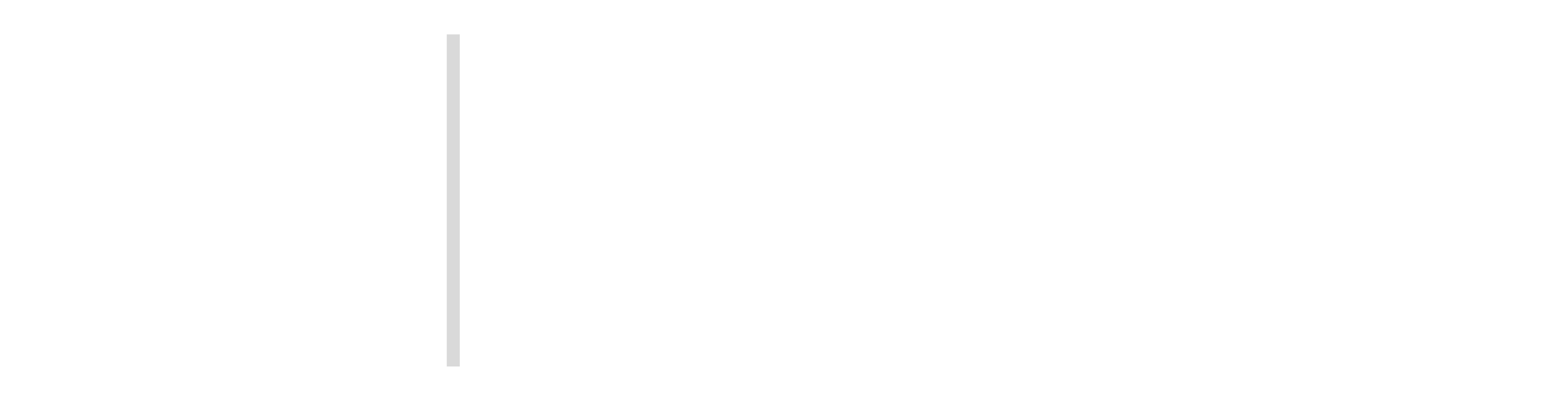 logo DUA Soft Development